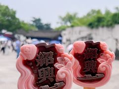 -绍兴鲁迅故里·沈园景区