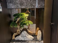 -墨泉峰味(润和国际广场店)