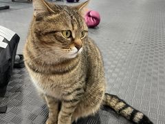 -FIGHTMAN格斗俱乐部(长宁临空店)