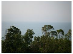 -广东惠东海龟国家级自然保护区