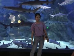 -烟台海昌鲸鲨海洋公园