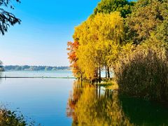 -贡湖湾湿地公园
