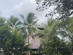 -Mekong Rest Stop