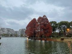 -海天湖公园