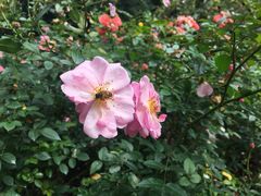 -人民公园(罗湖区)