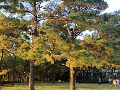 -东湖落雁景区