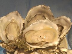 -千岛蚝高压锅生蚝·人参火锅(白云万达店)