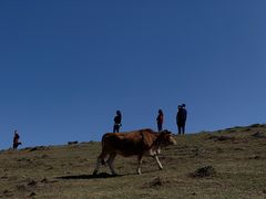-大姆山草场