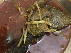 -高记什邡肖麻辣(成都店)