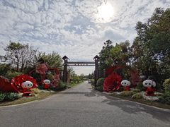 -东平国家森林公园