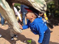 -大连森林动物园