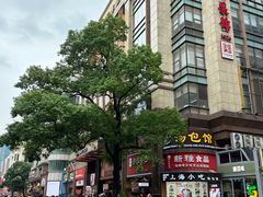 -新雅粤菜馆(南京东路店)