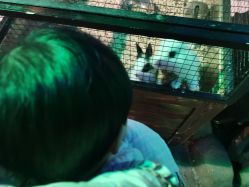 -酷嗒动物文化乐园(cutezoo西溪乐天城店)