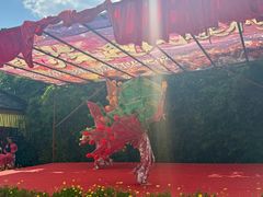 -云南民族村