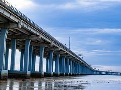 -宝安西湾红树林湿地公园