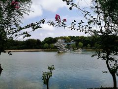 -上海鲜花港