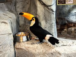 -Zoolung Zoolung动物主题公园(海信广场店)