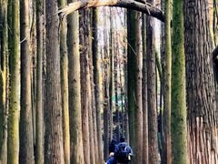 -青山湖景区