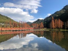 -广州市石门国家森林公园