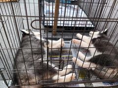 -尚泰清迈机场购物中心