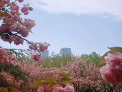 -白塘生态植物园