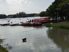 -上海海湾国家森林公园