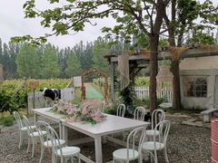 -安德鲁户外烧烤帐篷营地(马泉营店)