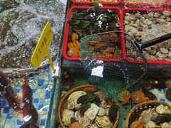 -阿里元老宋海鲜大排档(明发店)