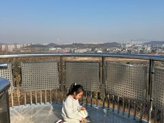 -羊山湖公园