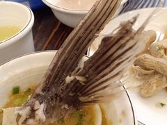 -正能量脆肉鲩火锅