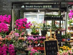 -豆豆花艺(新光天地店)