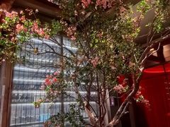 -星·South Beauty·俏江南(国贸店)