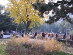 -元大都城垣遗址公园