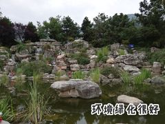 环境-秦岭欢乐世界