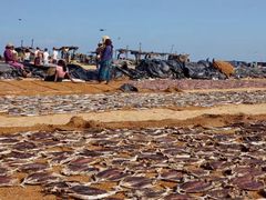 -尼甘布海鲜市场