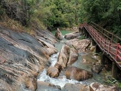 -广州白江湖森林公园
