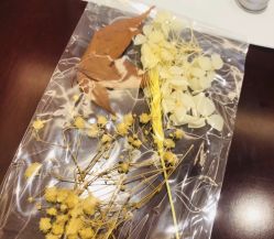 -舒雅母婴护理中心(天虹中心)