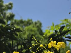-南北湖风景区