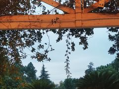 -故乡缘·香格里拉山庄(冷竹路店)