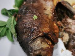 -紫光园·烤鸭·北京菜(劲松店)