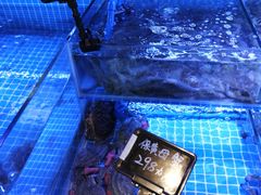 水产区-渔民船说·北塘海鲜·天津菜·海肠捞饭(北塘古镇店)