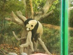 -广州长隆野生动物世界