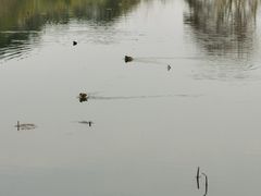 -昆山城市生态森林公园