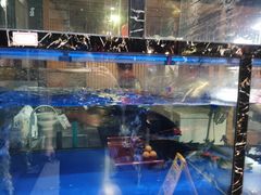 -毛家饭店(翡翠绿洲商业街店)