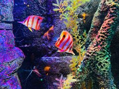 -沈阳海洋探索中心