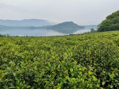 -横山水库