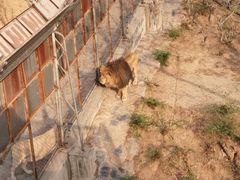 -石家庄市动物园