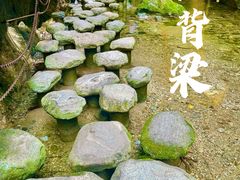 -牛背梁国家森林公园