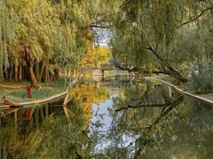 -上海共青森林公园