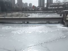 -绿岛公园(滨海新区)